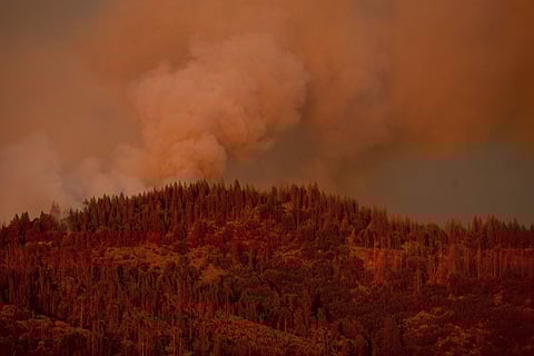 Wildfire at California. (Photo | AP)
