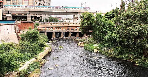 People living in the vicinity of Musi river are in a constant threat of not only skin but also long-term life threatening diseases | S SENBAGAPANDIYAN