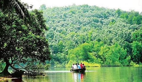 The Karippayar river