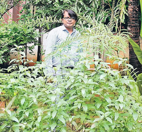 Sathya in his 150-yard garden