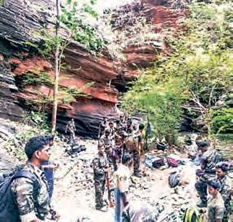 Forest personnel and cops at Lankamalla forest in Kadapa district