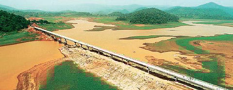 Gurupriya bridge: Swabhiman Anchala revels in newfound identity