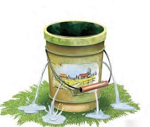 ‘Swachh’ Krishna to micromanage waste segregation to become ODF+