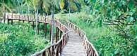 The bamboo bridge at Madavoorpara