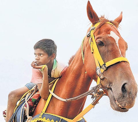 Most coolies are 15 years to 25 years old Nakshatra Krishnamoorthy