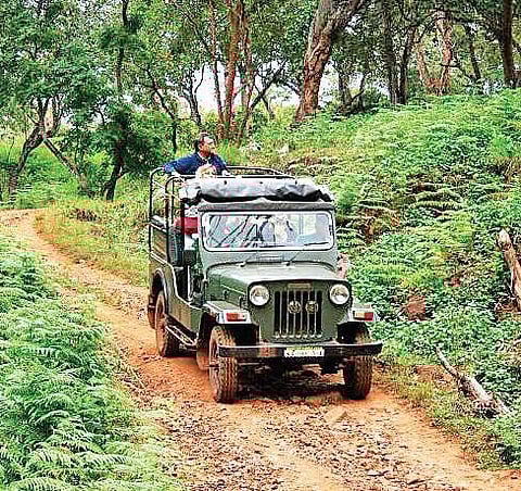 BRT Tiger reserve. (Photo | EPS)