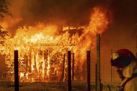 A firefighter monitors a burning outbuilding to ensure flames don't spread as the River Fire burns in Lakeport. (Photo | AP)