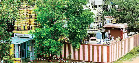 1. One of the oldest temples in the city, Sri Subramanya Swami Temple