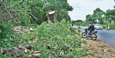 Red alert for Bannerghatta National Park, conversation essential
