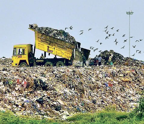 Certain wards from zone 15 have not been segregating waste