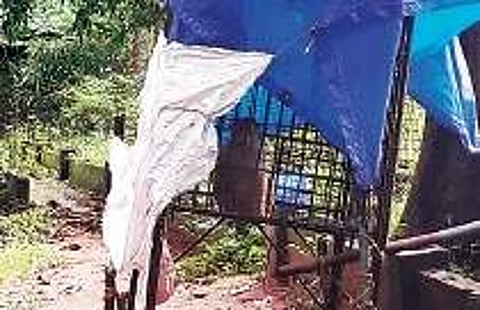 Mathai, the monkey, caged at Kodanad mini zoo Express