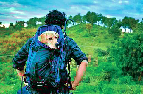 Still from 777 Charlie