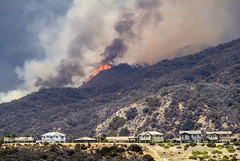 The 'Holy Fire' burns near homes in Lake Elsinore, California. (Photo | AP)