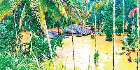 Only the clay roof tiles of the houses at Koodalkadavu near Payampally in Wayanad district could be seen as water from the overflowing Kabini river submerged the entire houses in the area on Friday | Akhil Johnson