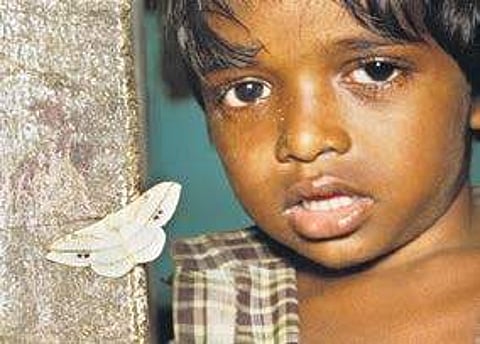 A Kadar tribal boy from Anappantham, from Unnikrishnan’s documentary project about the lives of Kadar community