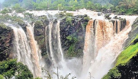 Jog Falls in full glory on Tuesday after 27,000 cusecs of water was released from the Linganamakki dam | Shimoga nandan
