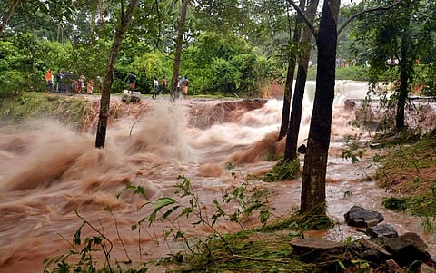 Flood fury on Kerala-Tamil Nadu border. (Photo | Vincent Pulickal/EPS)