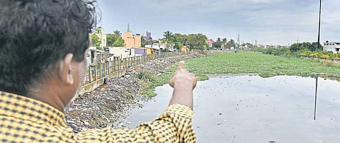 Corporation officials do not have enough equipment to clear the hyacinths Ashwin Prasath