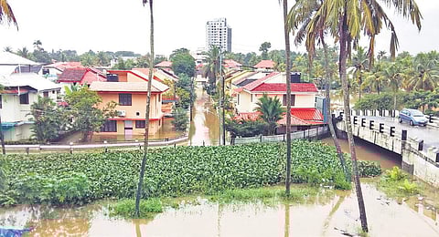 Residential area at Edappally which got inundated in floods on Thursday | Ajay kanth