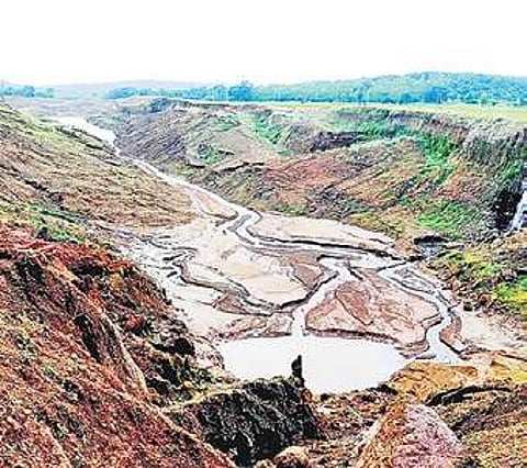 Outside of the tribunal’s scope, Goa may have to take the issue before the National Green Tribunal and challenge Karnataka’s move to set up the hydro-electric project.