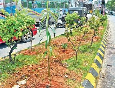 When all other Kiki Challenges are drawing the ire of law, this one has drawn several hearts.