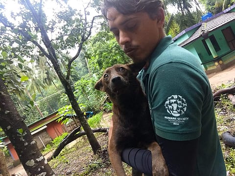 Kerala floods: A rescuer poses with a dog. (Photo | @HSIGlobal/ Twitter)