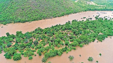 The Cauvery in spate in the Rasimalai area near Hogenakkal;