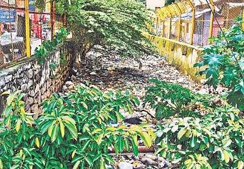 The Amayizhanjan canal