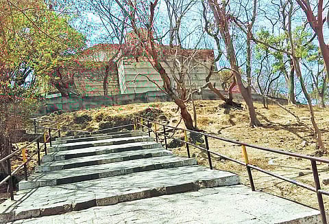 Staircase to the Parvati Hill