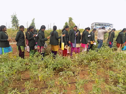 Image for representational purpose only. (Photo |EPS)