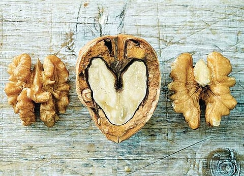 Walnuts have been investigated for their potential benefits on a variety of health outcomes, including cancer. (Photo | EPS)