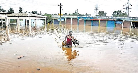 A man carrying an LPG cylinder and a stove wades through the flooded Kushalnagar-Hassan Road in Kodagu. (Photo| Udayshankara S/EPS)