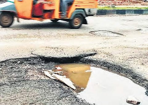 with steel barricades that prevent animals from entering the highways missing | Express