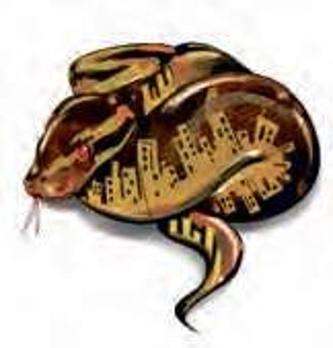 Torrential rain sees spurt in snakebite cases