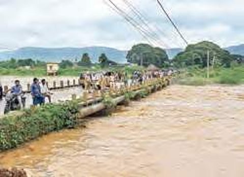 About 4,000 acres of paddy crop got damaged following heavy rain in Gudivada mandal