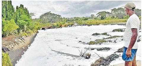 Fakirappa waits for the froth to subside. Whenever there is strong wind, flying froth from Byramangala lake is a common sight| Pandarinath B