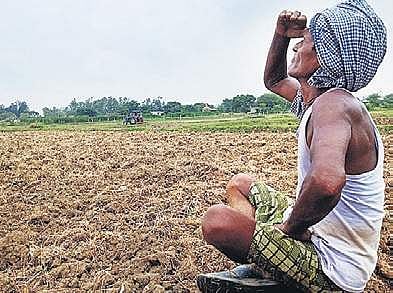 10 lakh hectares hit by dry spell, excess rainfall in Karnataka
