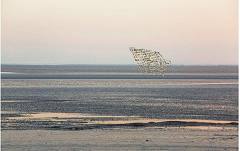 The Delhi Contemporary Art Week, comprising seven galleries from the city hosting some 40-odd artists, will give collectors and art enthusiasts a chance to view eclectic works.