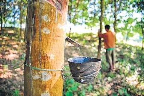 Image for representational purpose only.