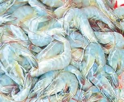 Image for representational purpose only.