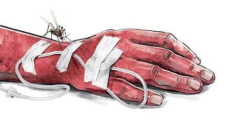 32 dengue deaths, 30 days later Chhattisgarh health minister inspects town just 25 km away from Raipur