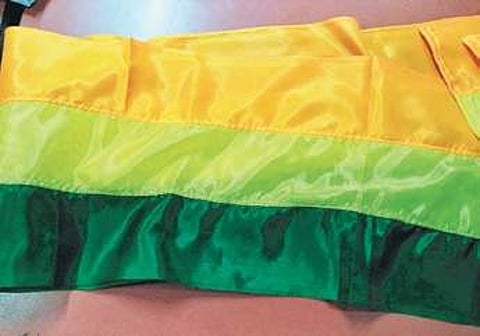 The North Karnataka flag designed by Uttara Karnataka Horata Samiti. | (File | EPS)