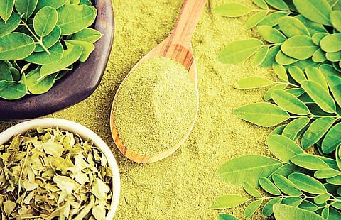 You need to know which kinds of food boost your metabolism and lead you towards a healthier existence.