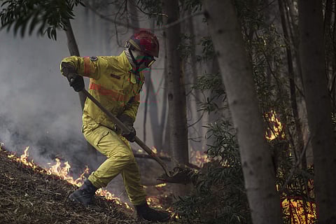 A firefighter works on an active fire on a hillside outside the village of Monchique, in southern Portugal's Algarve region. (Photo | AP)