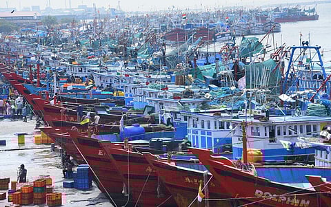 DG Shipping initiates stringent action to fix responsibility and penalise the vessels involved in mid-sea collision cases. (File | EPS)