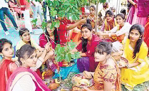 Girls tie rakhis to saplings at Piplantri village in Rajasthan | Express