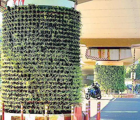 Health and Family Welfare department has gotten the approval for the budget for setting up a vertical garden at the Maulana Azad Institute of Dental Sciences