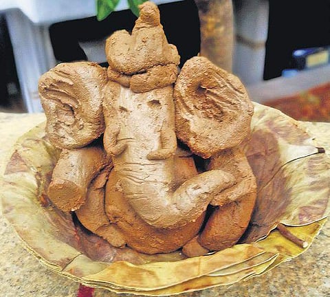 Proactive citizen encourages Bengalureans to get hands dirty