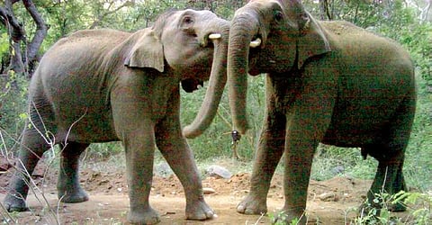 Image used for representational purpose only.