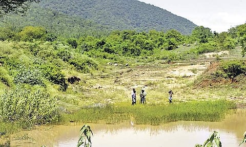 File photo of surveyors measuring land in Jarugumalai RF in Salem | Express